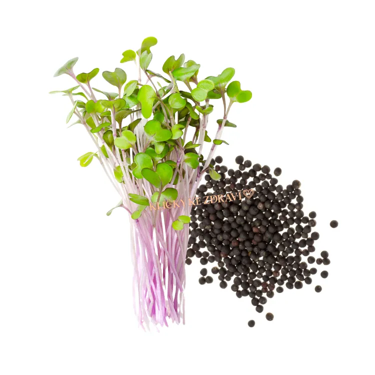 Kadeřávek červený - semínka na klíčení 10 g