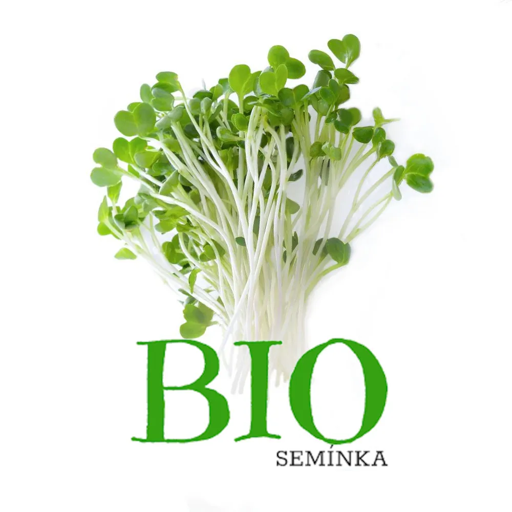 Brokolice – BIO semínka na klíčení 10g