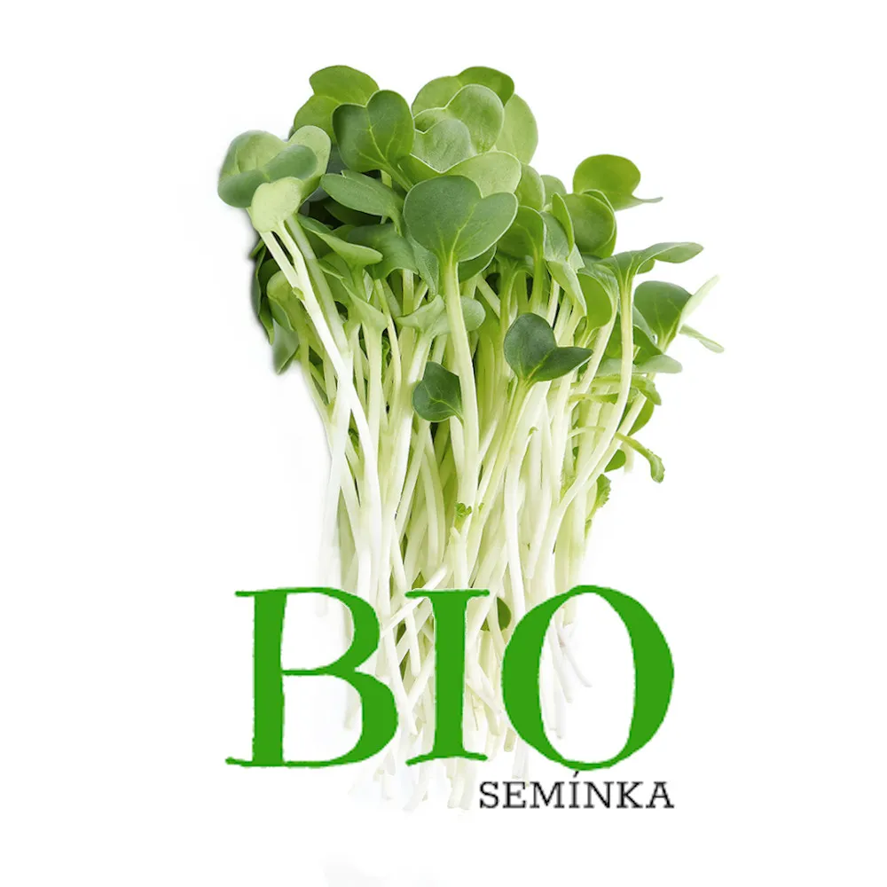 Vojtěška (Alfalfa) – BIO semínka na klíčení 20g