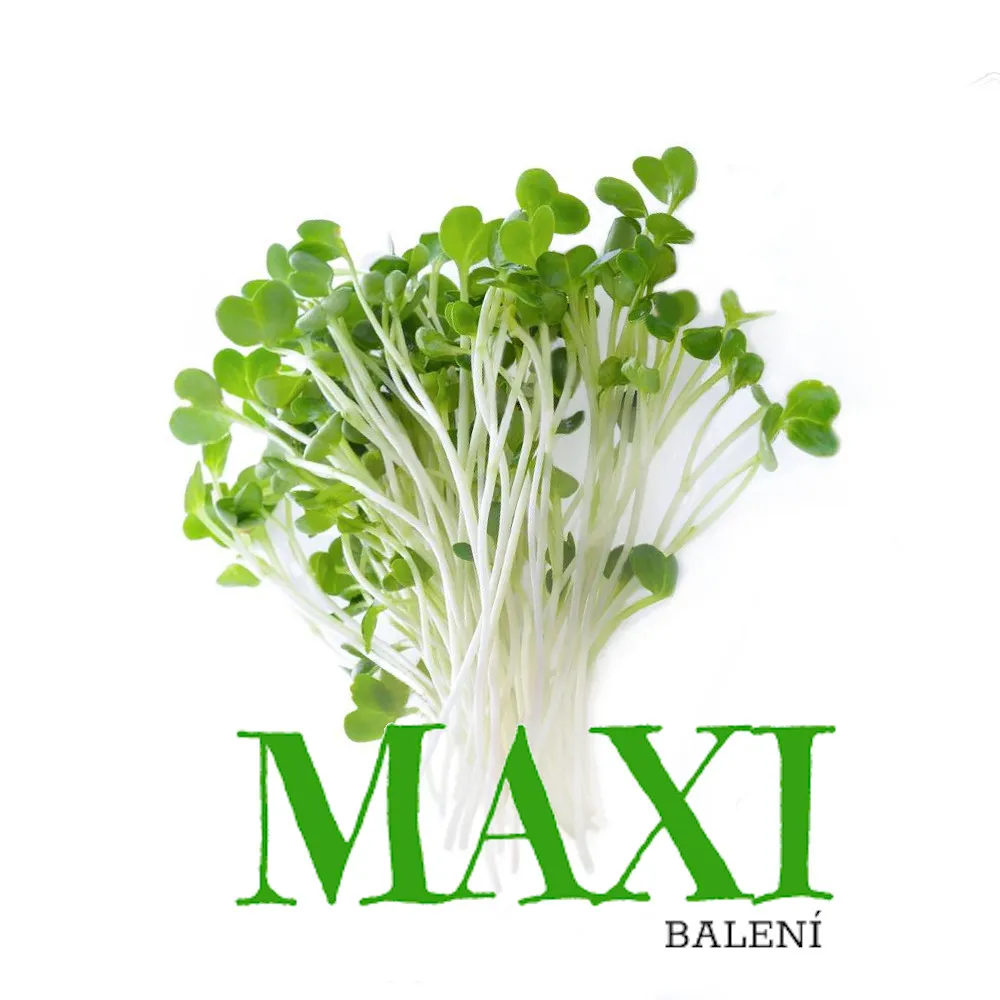 Brokolice – semínka na klíčení 100g