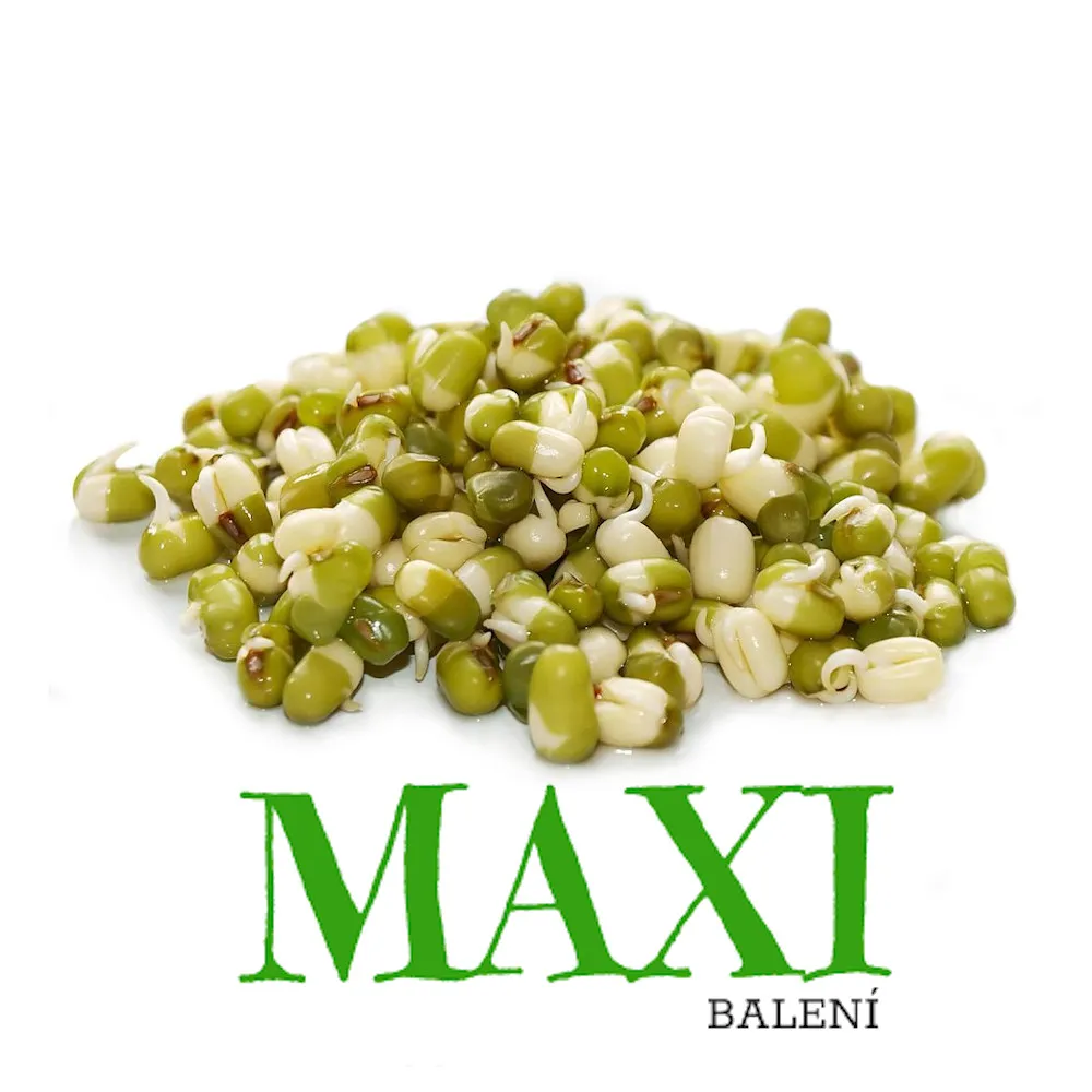 Fazole Mungo – semínka na klíčení 250g