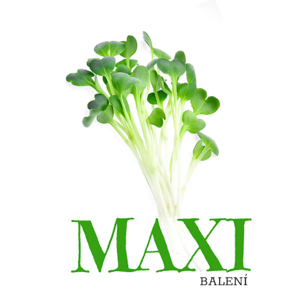 Rukola – semínka na klíčení 100g