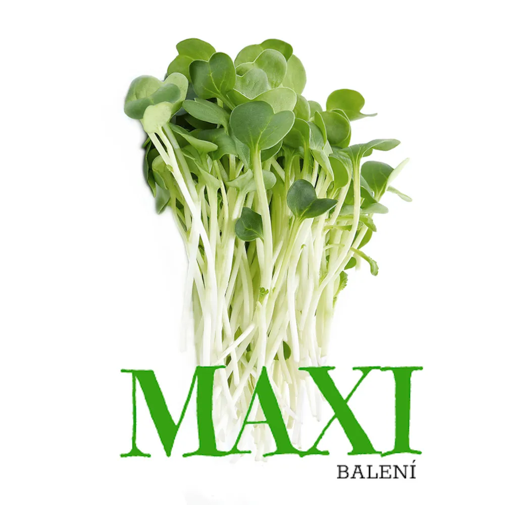 Vojtěška (Alfalfa) – semínka na klíčení 100g