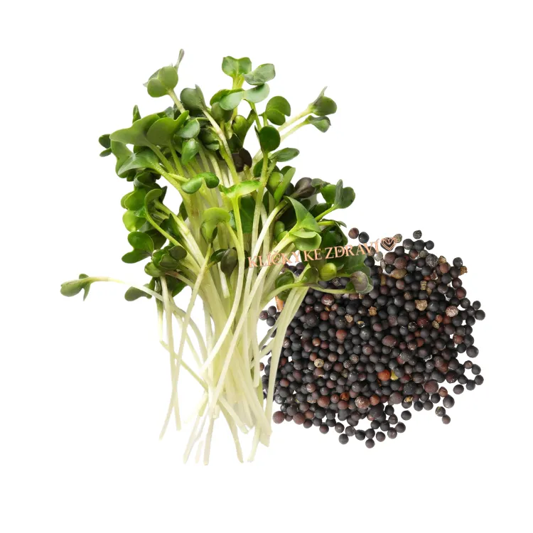 Hořčice Černá – semínka na klíčení 20g