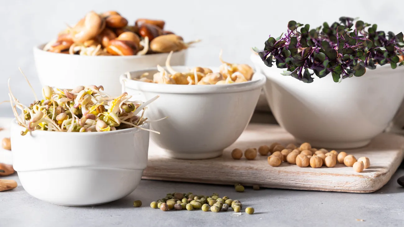 Různé druhy semínek na klíčení